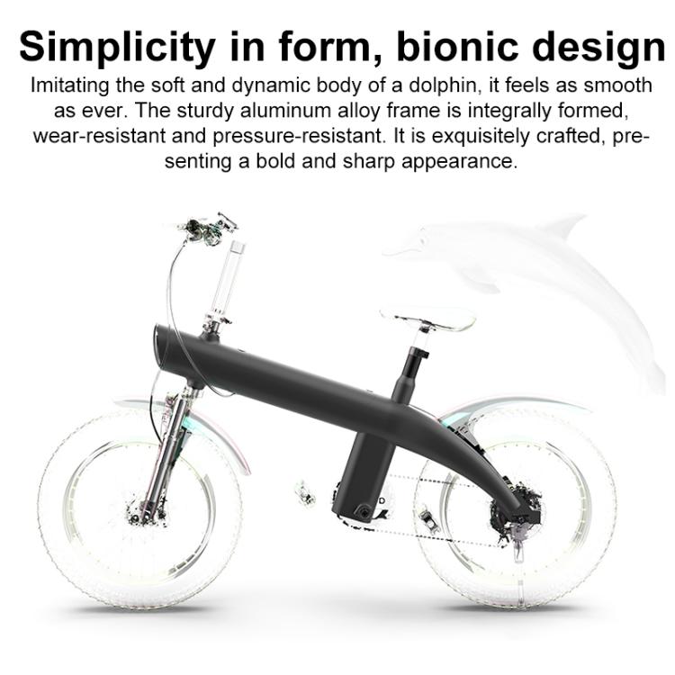 Q3 750W All-terrain Off-road Electric Bicycle with 20 inch Tires, US Plug (Titanium Gray) by bashfashion