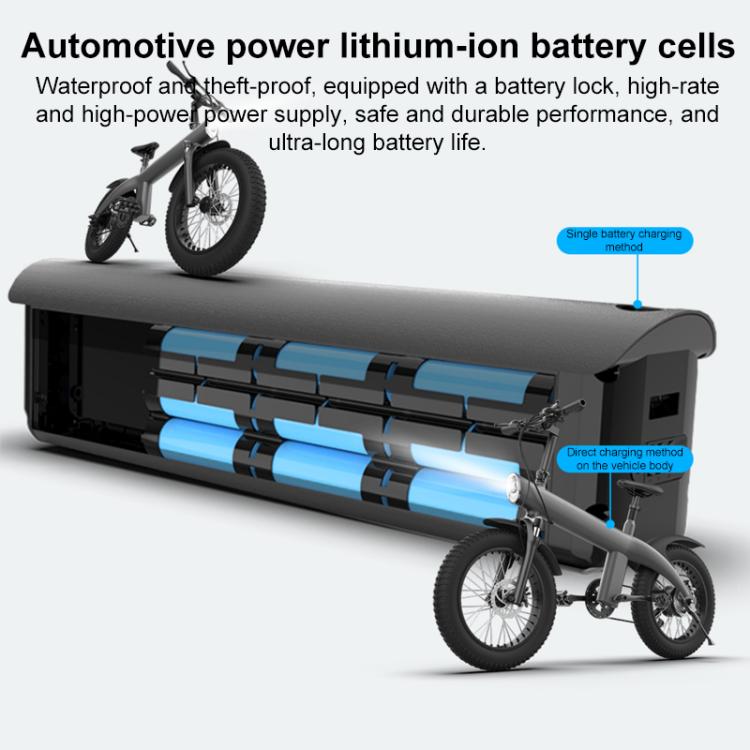 Q3 750W All-terrain Off-road Electric Bicycle with 20 inch Tires, US Plug (Iron Black) by bashfashion