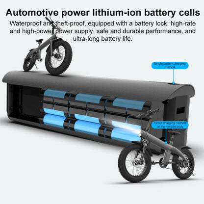 Q3 750W All-terrain Off-road Electric Bicycle with 20 inch Tires, US Plug (Iron Black) by bashfashion