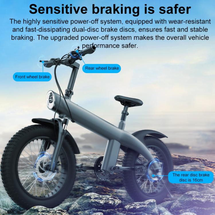 Q3 750W All-terrain Off-road Electric Bicycle with 20 inch Tires, US Plug (Iron Black) by bashfashion