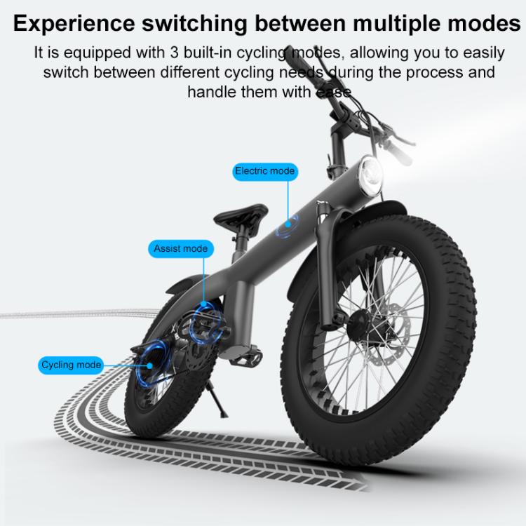 Q3 750W All-terrain Off-road Electric Bicycle with 20 inch Tires, US Plug (Iron Black) by bashfashion