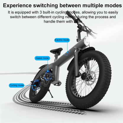 Q3 750W All-terrain Off-road Electric Bicycle with 20 inch Tires, US Plug (Iron Black) by bashfashion