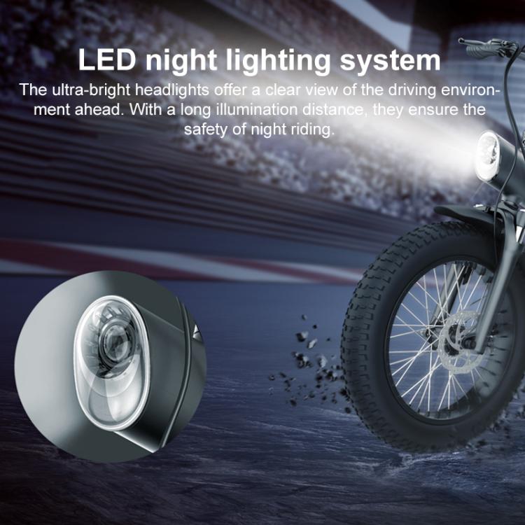 Q3 750W All-terrain Off-road Electric Bicycle with 20 inch Tires, US Plug (Titanium Gray) by bashfashion