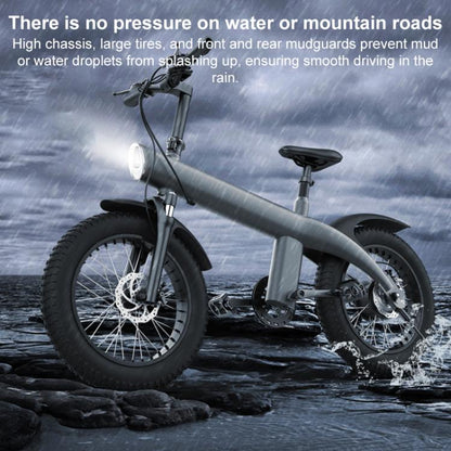 Q3 750W All-terrain Off-road Electric Bicycle with 20 inch Tires, US Plug (Iron Black) by bashfashion