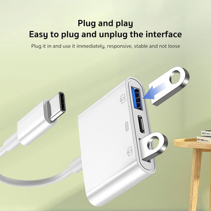 PC2386_4.jpg@064af039c13fe65350fb00e6a9d8932e