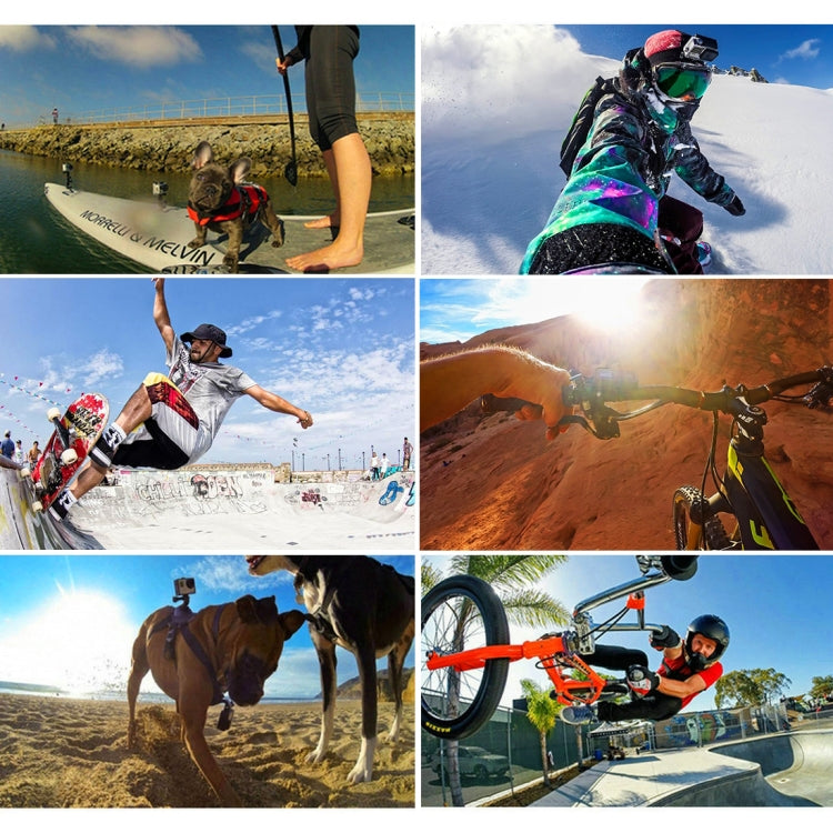 PULUZ 45 in 1 Accessories Ultimate Combo Kits with EVA Case (Chest Strap + Suction Cup Mount + 3-Way Pivot Arms + J-Hook Buckle + Wrist Strap + Helmet Strap + Surface Mounts + Tripod Adapter + Storage ... for GoPro, Insta360, DJI and Other Action Cameras by PULUZ