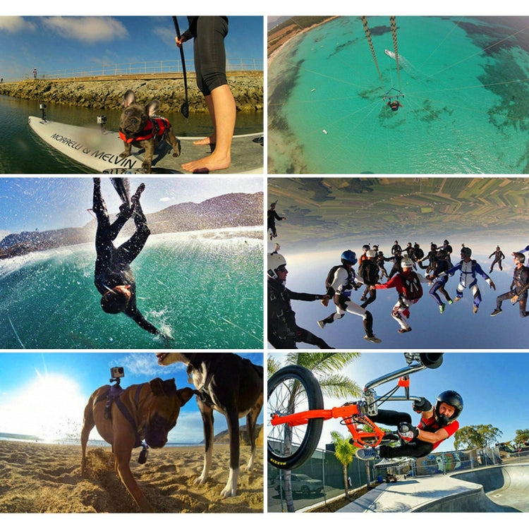 PULUZ 24 in 1 Bike Mount Accessories Combo Kits with EVA Case (Wrist Strap + Helmet Strap + Extension Arm + Quick Release Buckles + Surface Mounts + Adhesive Stickers + Tripod Adapter + Storage Bag + ... for GoPro, Insta360, DJI and Other Action Cameras by PULUZ