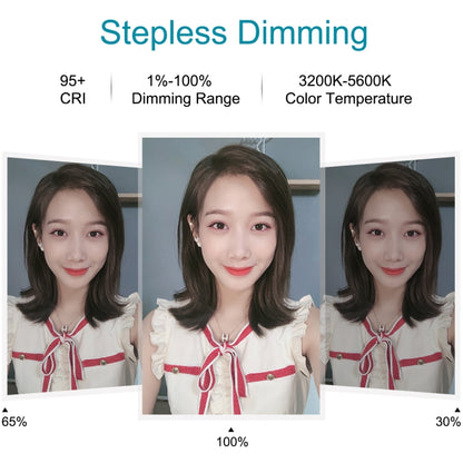 PULUZ 11.8 inch 30cm Light + 1.65m Tripod + Dual Phone Bracket Curved Surface USB 3 Modes Dimmable Dual Color Temperature LED Ring Vlogging Video Light Live Broadcast Kits with Phone Clamp(Black) by PULUZ