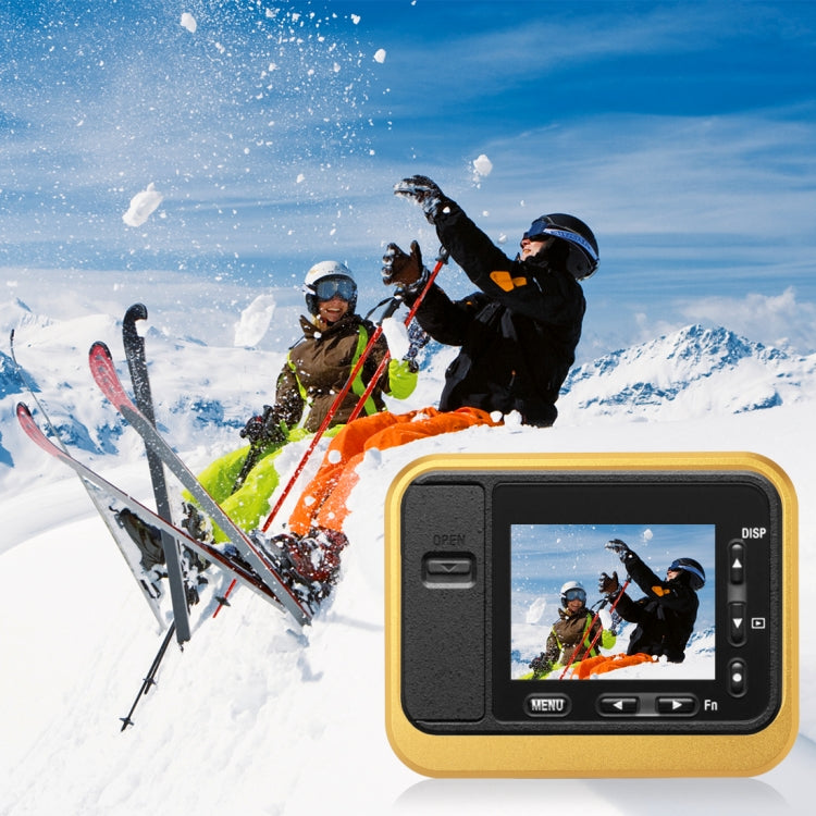 PULUZ for Sony RX0 Aluminum Alloy Protective Cage + 37mm UV Filter Lens + Lens Sunshade with Screws and Screwdrivers(Gold) by PULUZ