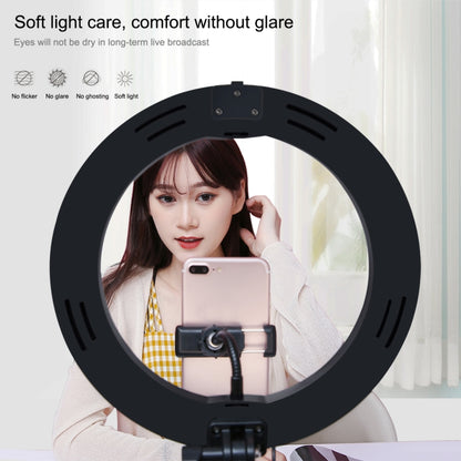 PULUZ 10.2 inch 26cm USB 3 Modes Dimmable Dual Color Temperature LED Curved Ring Vlogging Selfie Photography Video Lights with Bluetooth Remote Shutter & Folding Desktop Holder & Phone Clamp(Black) by PULUZ