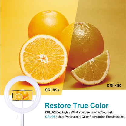 PULUZ 10.2 inch 26cm USB 3 Modes Dimmable Dual Color Temperature LED Curved Ring Vlogging Selfie Photography Video Lights with Bluetooth Remote Shutter & Folding Desktop Holder & Phone Clamp(White) by PULUZ