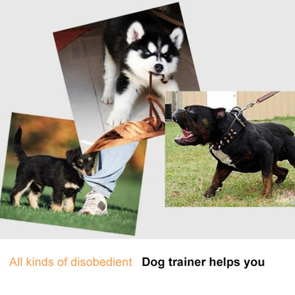 Electric Dog Remote Control Training(White) by bashfashion