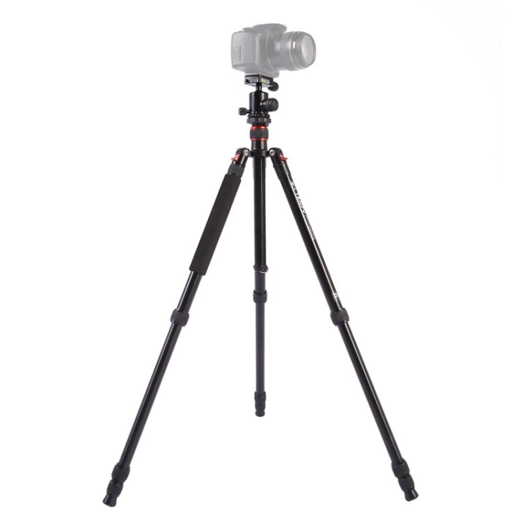 Triopo MT-2504C Adjustable Portable Aluminum Tripod with NB-1S Ball Head for Canon Nikon Sony DSLR Camera(Black) by TRIOPO
