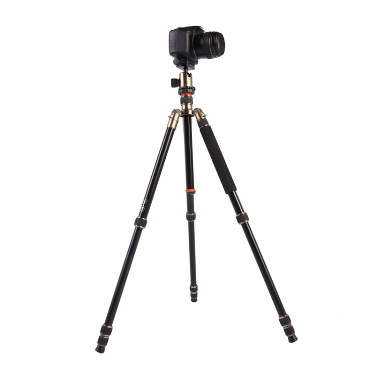 Triopo MT-2504C Adjustable Portable Aluminum Tripod with NB-1S Ball Head for Canon Nikon Sony DSLR Camera(Black) by TRIOPO