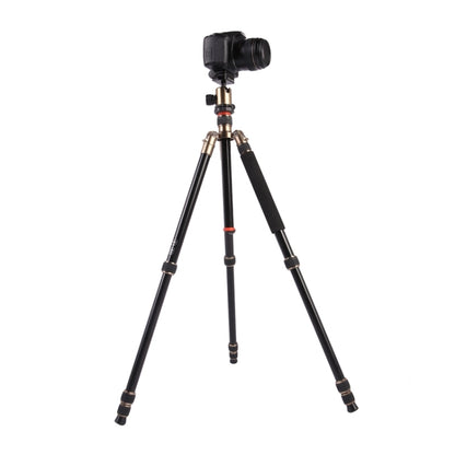 Triopo MT-2504C Adjustable Portable Aluminum Tripod (Gold) with NB-1S Ball Head (Black) for Canon Nikon Sony DSLR Camera by TRIOPO