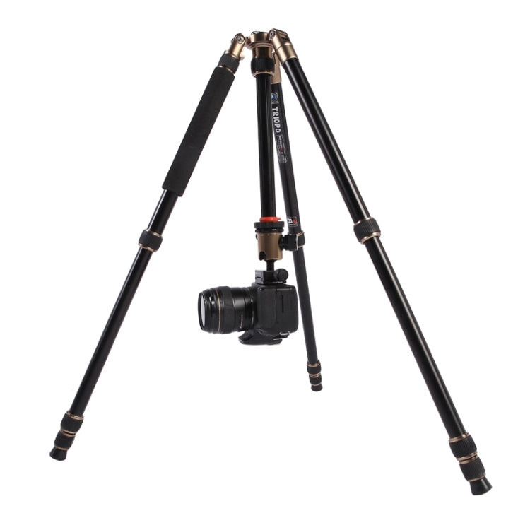 Triopo MT-2504C Adjustable Portable Aluminum Tripod (Gold) with NB-1S Ball Head (Black) for Canon Nikon Sony DSLR Camera by TRIOPO