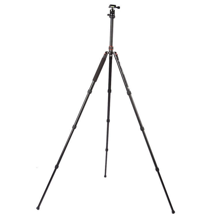 Triopo MT-2504C Adjustable Portable Aluminum Tripod (Gold) with NB-1S Ball Head (Black) for Canon Nikon Sony DSLR Camera by TRIOPO