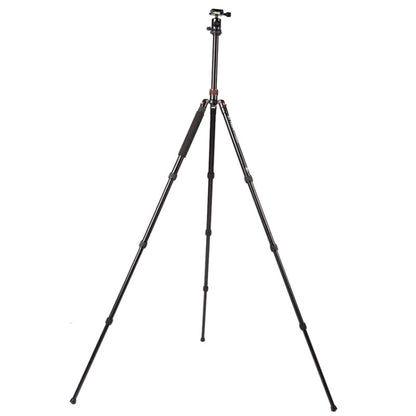 Triopo MT-2504C Adjustable Portable Aluminum Tripod (Gold) with NB-1S Ball Head (Black) for Canon Nikon Sony DSLR Camera by TRIOPO