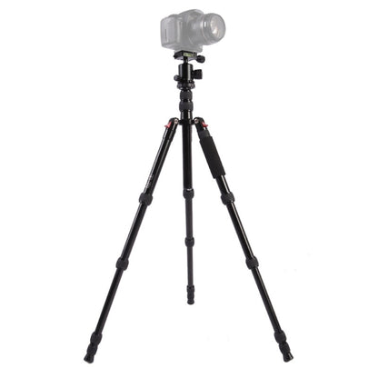 Triopo MT-2505C Adjustable Portable Aluminum Tripod with NB-1S Ball Head for Canon Nikon Sony DSLR Camera(Black) by TRIOPO