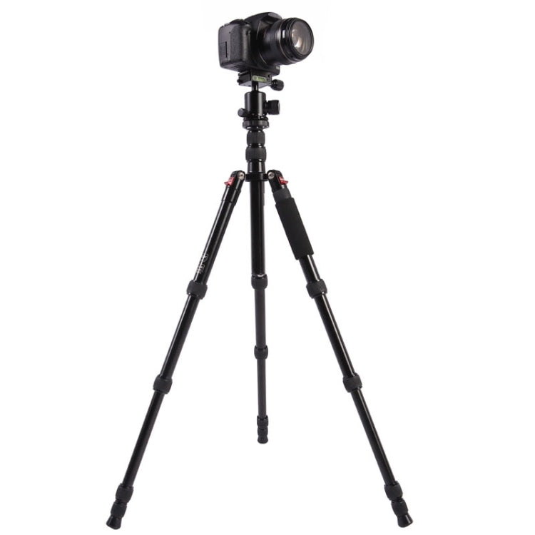 Triopo MT-2505C Adjustable Portable Aluminum Tripod with NB-1S Ball Head for Canon Nikon Sony DSLR Camera(Black) by TRIOPO