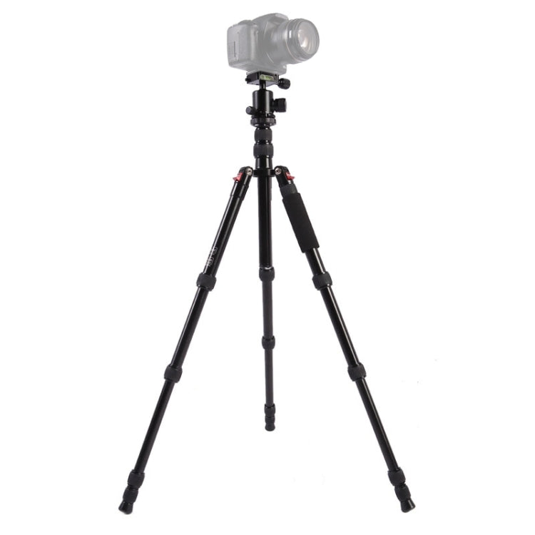 Triopo MT-2505C Adjustable Portable Aluminum Tripod (Gold) with NB-1S Ball Head (Black) for Canon Nikon Sony DSLR Camera by TRIOPO
