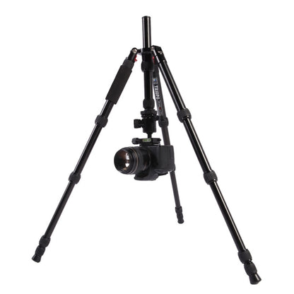 Triopo MT-2505C Adjustable Portable Aluminum Tripod (Gold) with NB-1S Ball Head (Black) for Canon Nikon Sony DSLR Camera by TRIOPO