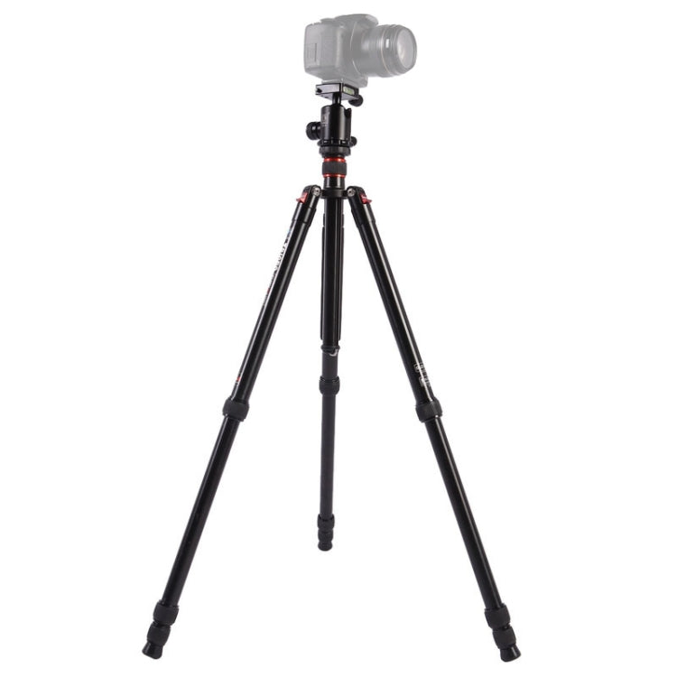 Triopo MT-2804C Adjustable Portable Aluminum Tripod with NB-2S Ball Head for Canon Nikon Sony DSLR Camera(Black) by TRIOPO
