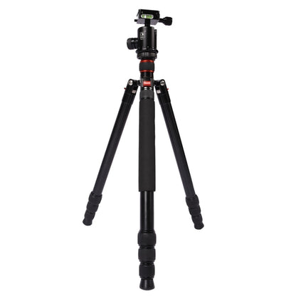 Triopo MT-2804C Adjustable Portable Aluminum Tripod with NB-2S Ball Head for Canon Nikon Sony DSLR Camera(Black) by TRIOPO