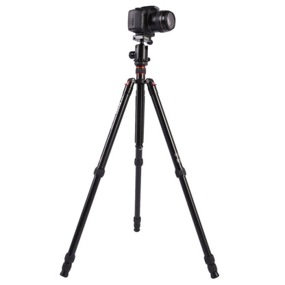 Triopo MT-2804C Adjustable Portable Aluminum Tripod with NB-2S Ball Head for Canon Nikon Sony DSLR Camera(Black) by TRIOPO