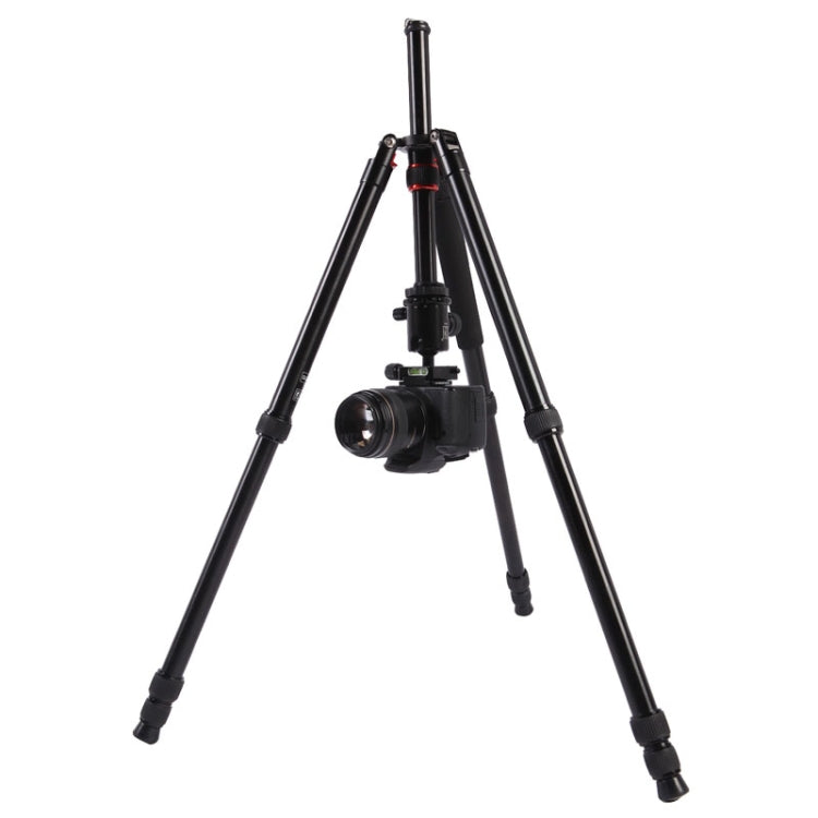 Triopo MT-2804C Adjustable Portable Aluminum Tripod with NB-2S Ball Head for Canon Nikon Sony DSLR Camera(Black) by TRIOPO