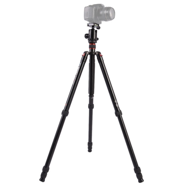 Triopo MT-2804C Adjustable Portable Aluminum Tripod (Gold) with NB-2S Ball Head (Black) for Canon Nikon Sony DSLR Camera by TRIOPO