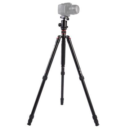 Triopo MT-2804C Adjustable Portable Aluminum Tripod (Gold) with NB-2S Ball Head (Black) for Canon Nikon Sony DSLR Camera by TRIOPO