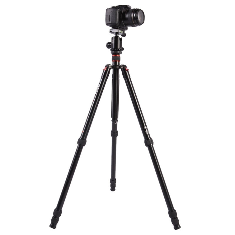 Triopo MT-2804C Adjustable Portable Aluminum Tripod (Gold) with NB-2S Ball Head (Black) for Canon Nikon Sony DSLR Camera by TRIOPO