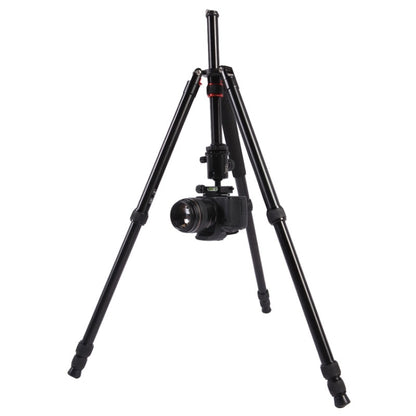 Triopo MT-2804C Adjustable Portable Aluminum Tripod (Gold) with NB-2S Ball Head (Black) for Canon Nikon Sony DSLR Camera by TRIOPO