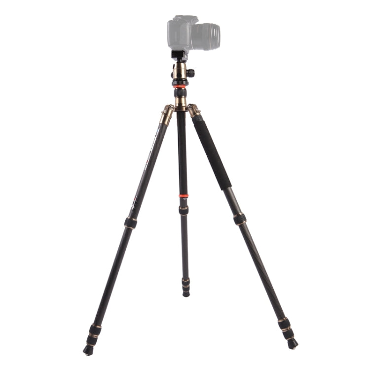 Triopo GT-2504X8.C Adjustable Portable Carbon Fiber Tripod with B-1 Aluminum Ball Head for Canon Nikon Sony DSLR Camera by TRIOPO