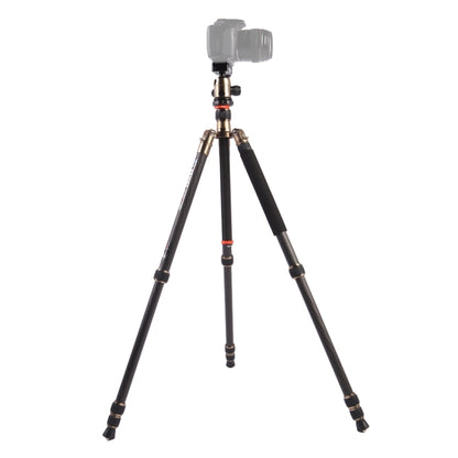 Triopo GT-2504X8.C Adjustable Portable Carbon Fiber Tripod with B-1 Aluminum Ball Head for Canon Nikon Sony DSLR Camera by TRIOPO