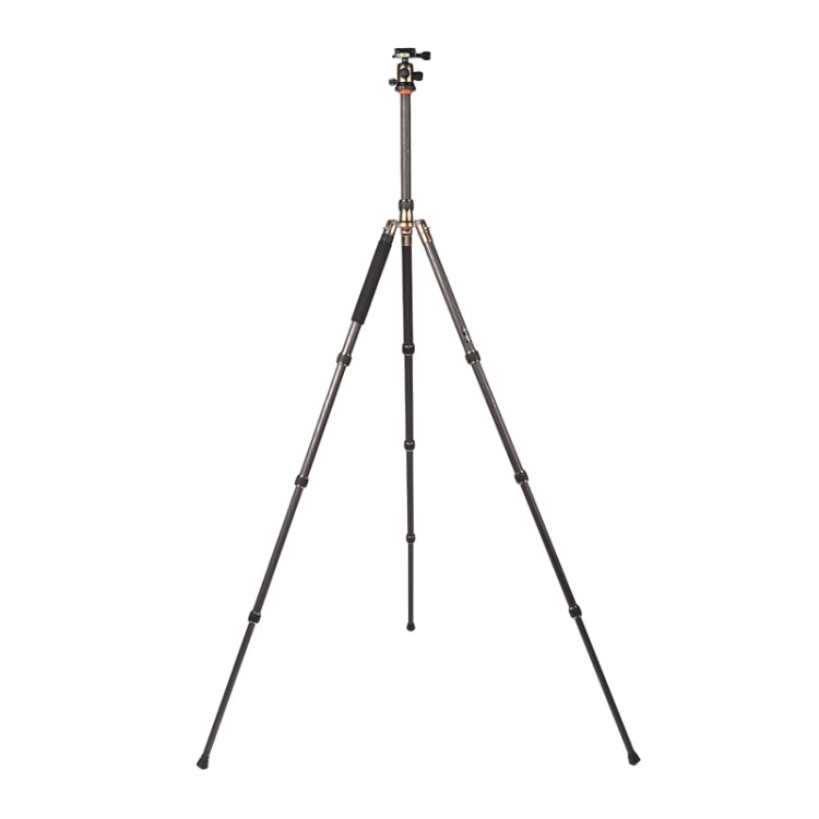 Triopo GT-2504X8.C Adjustable Portable Carbon Fiber Tripod with B-1 Aluminum Ball Head for Canon Nikon Sony DSLR Camera by TRIOPO