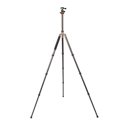 Triopo GT-2504X8.C Adjustable Portable Carbon Fiber Tripod with B-1 Aluminum Ball Head for Canon Nikon Sony DSLR Camera by TRIOPO