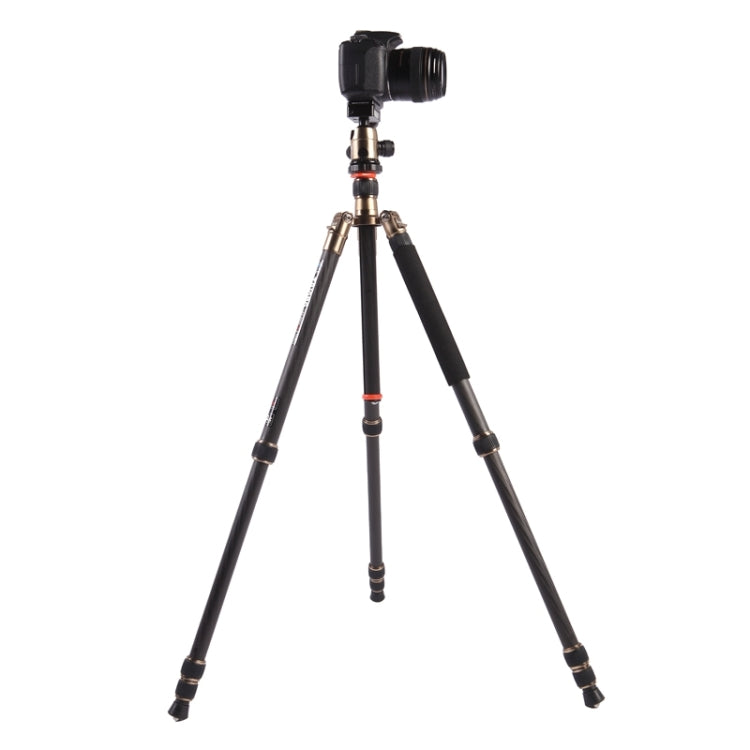 Triopo GT-2504X8.C Adjustable Portable Carbon Fiber Tripod with B-1 Aluminum Ball Head for Canon Nikon Sony DSLR Camera by TRIOPO