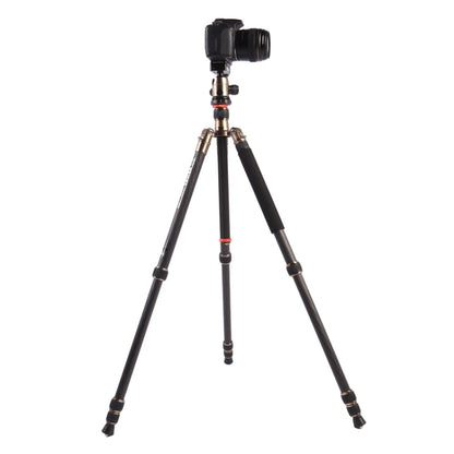 Triopo GT-2504X8.C Adjustable Portable Carbon Fiber Tripod with B-1 Aluminum Ball Head for Canon Nikon Sony DSLR Camera by TRIOPO