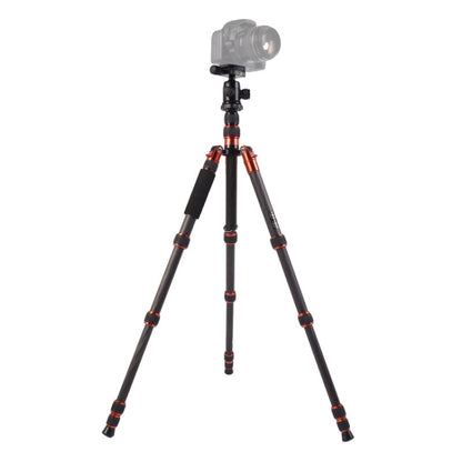 Triopo GT-2505x8.C Adjustable Portable Carbon Fiber Tripod with B-1 Aluminum Ball Head for Canon Nikon Sony DSLR Camera(Black) by TRIOPO