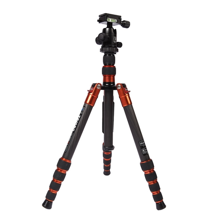 Triopo GT-2505x8.C Adjustable Portable Carbon Fiber Tripod with B-1 Aluminum Ball Head for Canon Nikon Sony DSLR Camera(Black) by TRIOPO