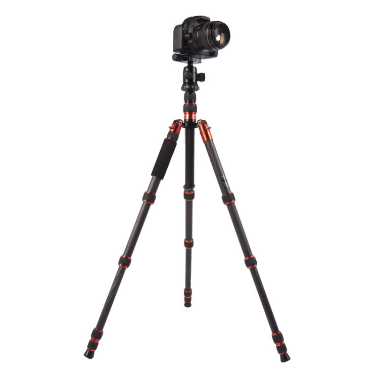 Triopo GT-2505x8.C Adjustable Portable Carbon Fiber Tripod with B-1 Aluminum Ball Head for Canon Nikon Sony DSLR Camera(Black) by TRIOPO