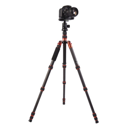 Triopo GT-2505x8.C Adjustable Portable Carbon Fiber Tripod with B-1 Aluminum Ball Head for Canon Nikon Sony DSLR Camera(Black) by TRIOPO