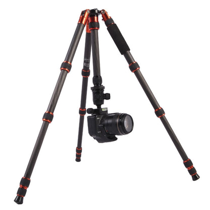 Triopo GT-2505x8.C Adjustable Portable Carbon Fiber Tripod with B-1 Aluminum Ball Head for Canon Nikon Sony DSLR Camera(Black) by TRIOPO