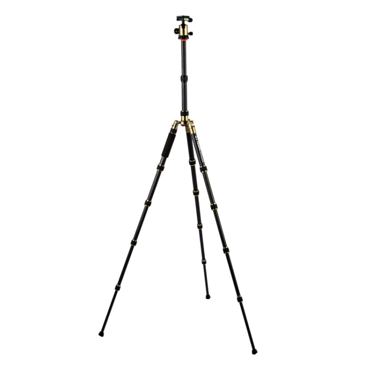 Triopo GT-2505x8.C Adjustable Portable Carbon Fiber Tripod (Gold) with B-1 Aluminum Ball Head (Black) for Canon Nikon Sony DSLR Camera by TRIOPO