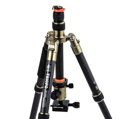 Triopo GT-2505x8.C Adjustable Portable Carbon Fiber Tripod (Gold) with B-1 Aluminum Ball Head (Black) for Canon Nikon Sony DSLR Camera by TRIOPO