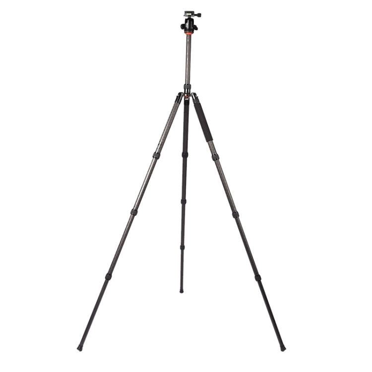 Triopo GT-2804X8.C Adjustable Portable Carbon Fiber Tripod (Gold) with B-2 Aluminum Ball Head (Black) for Canon Nikon Sony DSLR Camera by TRIOPO