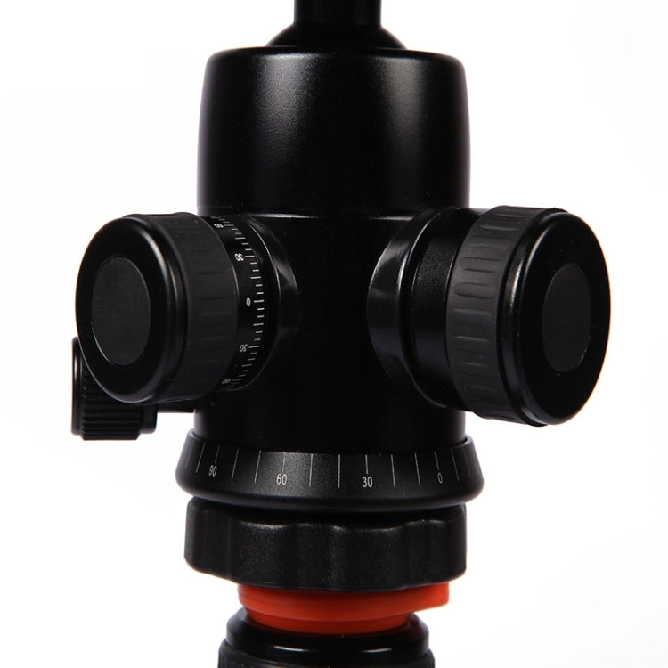 Triopo GT-2804X8.C Adjustable Portable Carbon Fiber Tripod (Gold) with B-2 Aluminum Ball Head (Black) for Canon Nikon Sony DSLR Camera by TRIOPO