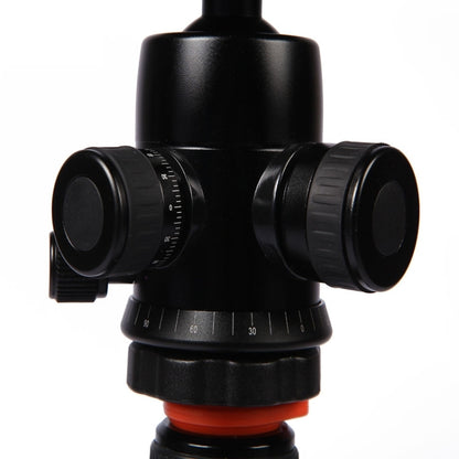 Triopo GT-2804X8.C Adjustable Portable Carbon Fiber Tripod (Gold) with B-2 Aluminum Ball Head (Black) for Canon Nikon Sony DSLR Camera by TRIOPO